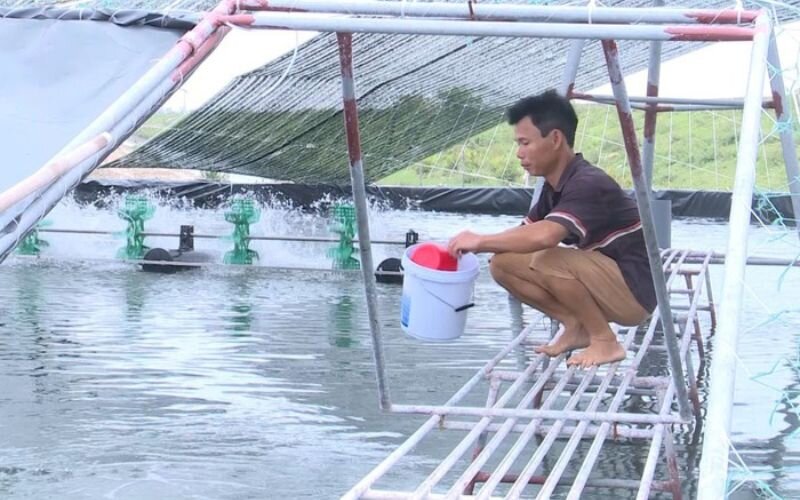 Chế phẩm sinh học là sản phẩm có chứa sinh vật sống